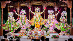 Daily Darshan