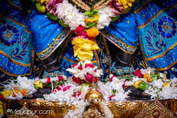 Daily Darshan