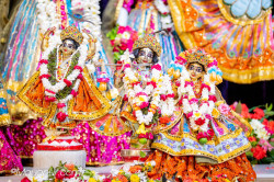Daily Darshan