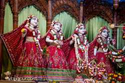 Daily Darshan