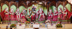 Daily Darshan