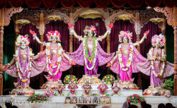 Daily Darshan