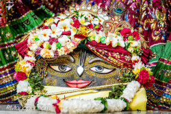 Daily Darshan