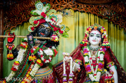 Daily Darshan