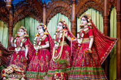 Daily Darshan