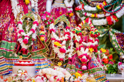 Daily Darshan