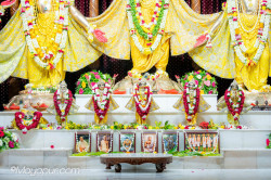 Daily Darshan