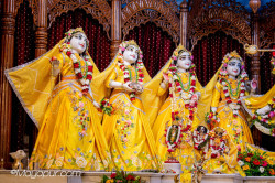 Daily Darshan