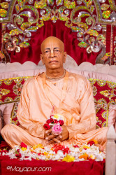 Daily Darshan
