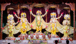 Daily Darshan