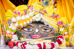 Daily Darshan