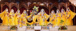 Daily Darshan