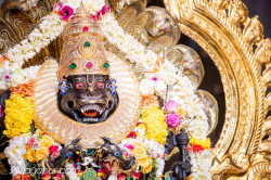 Daily Darshan