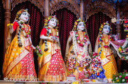 Daily Darshan