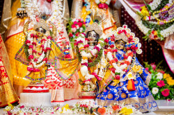 Daily Darshan