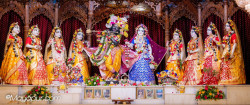 Daily Darshan