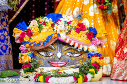 Daily Darshan