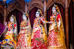 Daily Darshan