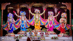 Daily Darshan