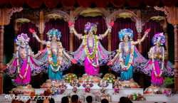 Daily Darshan