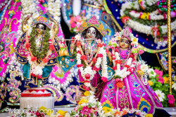 Daily Darshan