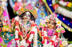 Daily Darshan