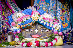 Daily Darshan