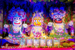 Daily Darshan