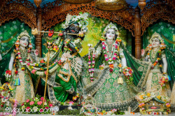 Daily Darshan