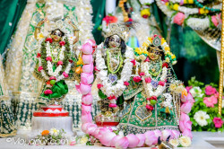 Daily Darshan
