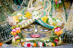 Daily Darshan