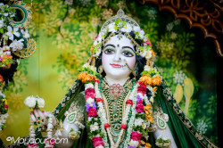 Daily Darshan