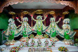 Daily Darshan