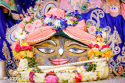 Daily Darshan