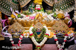 Daily Darshan