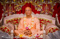 Daily Darshan