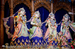 Daily Darshan
