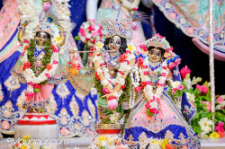Daily Darshan