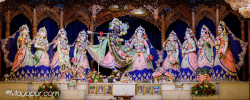 Daily Darshan
