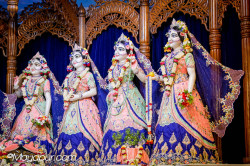 Daily Darshan