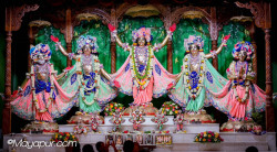 Daily Darshan