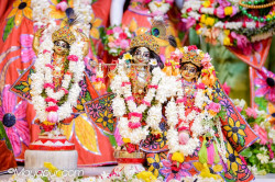 Daily Darshan