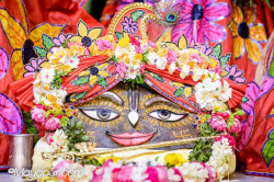Daily Darshan