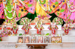 Daily Darshan