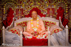 Daily Darshan