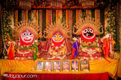Daily Darshan