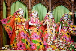 Daily Darshan