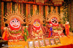 Daily Darshan
