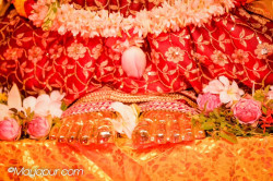 Daily Darshan