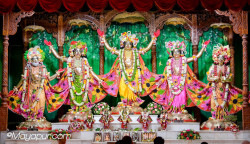 Daily Darshan